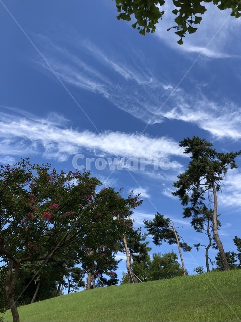 grassland,목초지,outdoors,옥외,field,들,언덕,풀밭,풀,자연,nature,grass,나무,tree,하늘,sky,잔디밭,leisureactivities,레저활동,모험,adventure,자연,풍경,nature,landscape,꽃,flower,나무,trees,wood,leisure activities,레저 활동