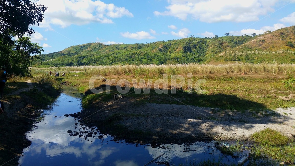 필리핀,시골,풍경,자연,해외,자연,풍경,nature,landscape,water,물,outdoors,옥외,land,땅,swamp,늪,bog,변소,marsh,습지