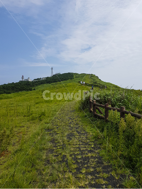 outdoors,옥외,nature,자연,field,목초지,grassland,들