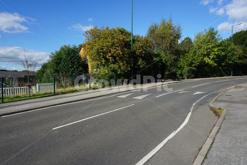 나무,화창,초록,도로,맑음,sky,road,tree,green,sunny,한적,여유,감성,감성사진,구름,cloud,길가