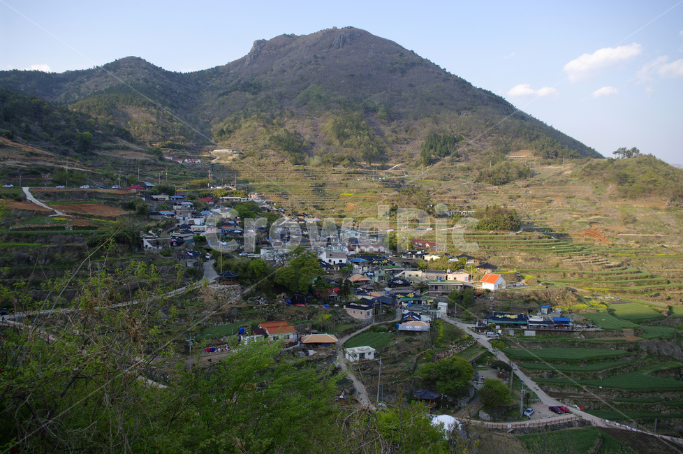 남해,가천마을,다랑이마을,다랑이,풍경,나무,논,마을,시골,마을,풍경,landscape,country,rural,town