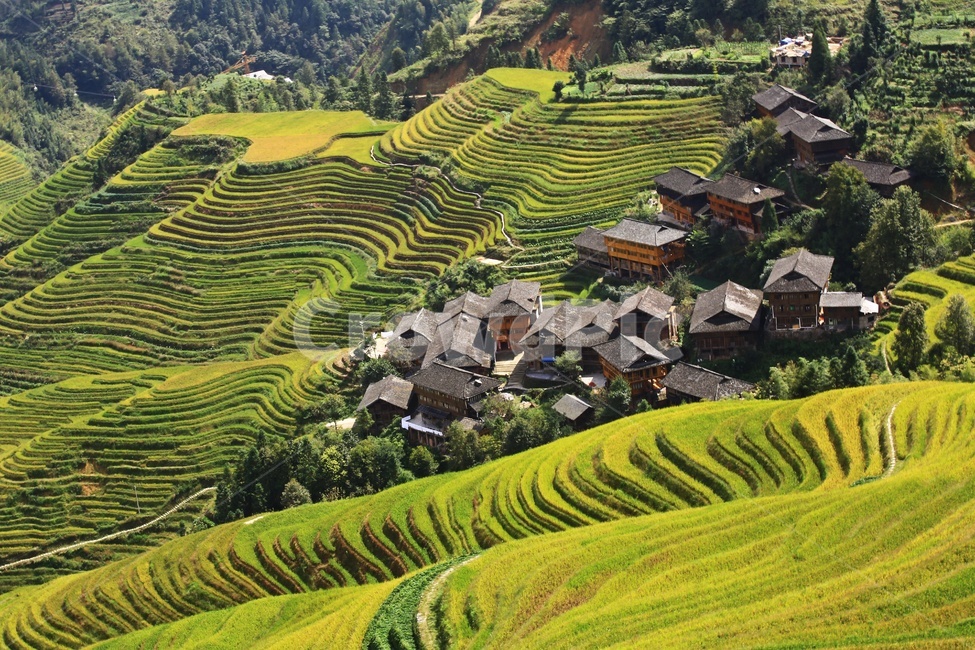 nature,자연,outdoors,옥외,scenery,풍경,field,landscape,경치,들,중국,계림,금갱,금갱다랭이논,다랭이논,다락논,용척제전,농업,농사,경작,농경지,중국비경,농업,농사,agriculture,farming,farming industry