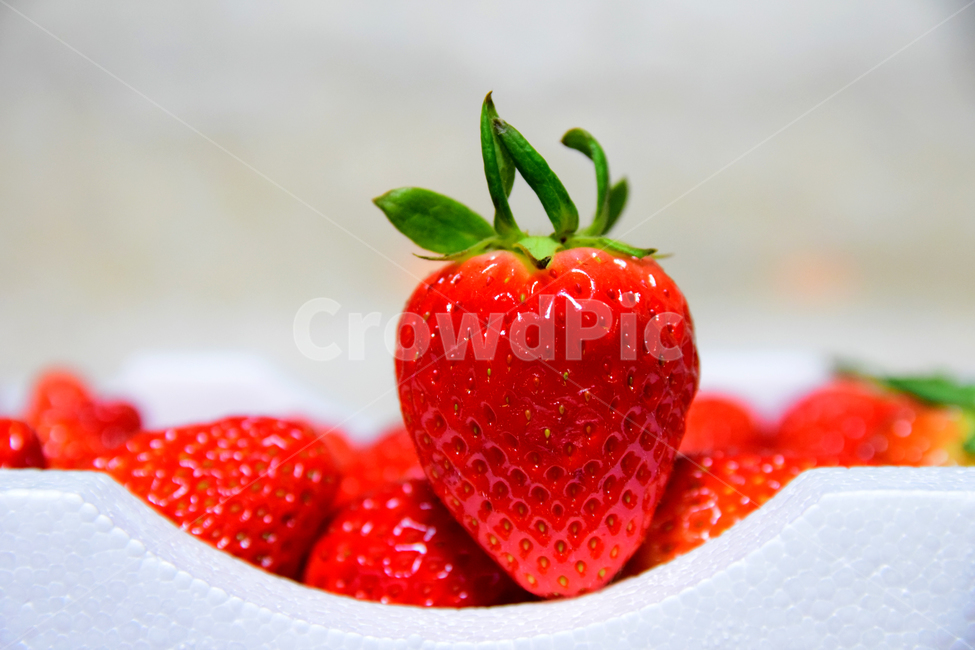 딸기,후식,음식,과일,식재료,열매,빨강색,dessert,fruits,strawberry,음식,식재료,요리,food,cook,meal,dishes,food reserves,과일,열매,fruit,채소,야채,vegetables