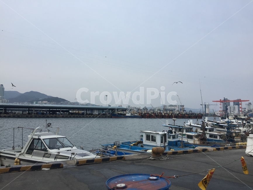 water,물,transportation,교통,boat,보트,선박,포트,항구,갈매기,부산,busan,배,항만,대한민국,sea,어업,fishery,fishing industry,교통,교통수단,traffic,transportation