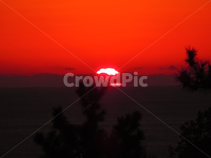 nature,자연,outdoors,옥외,sky,하늘,dawn,새벽,redsky,붉은하늘,일출,새해일출,2020년,태양,newyear,sunrising