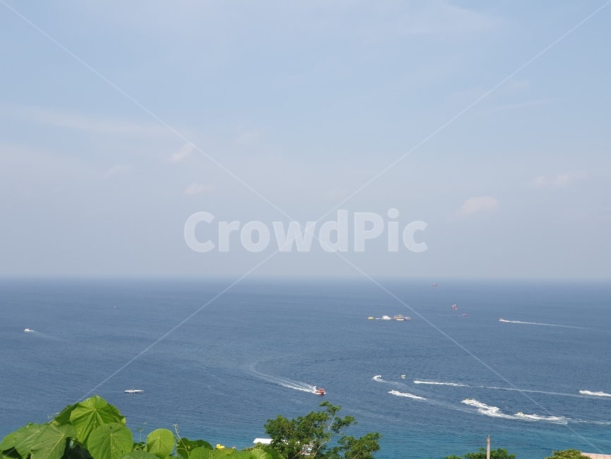 tree,바다,sea,ocean,하늘,수평선,자연,풍경,자연,풍경,nature,landscape