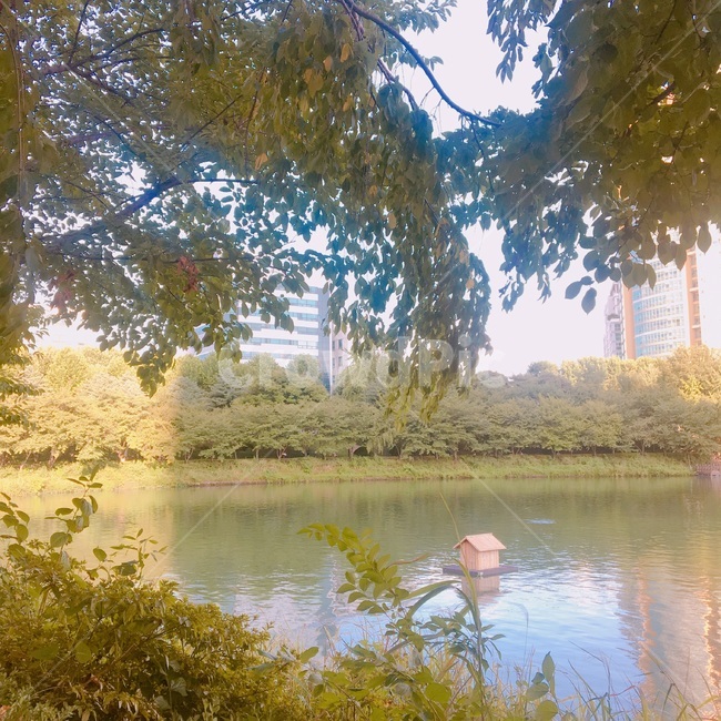 호수,나무,평화,도시,강가,자연,풍경,nature,landscape,water,물,outdoors,옥외