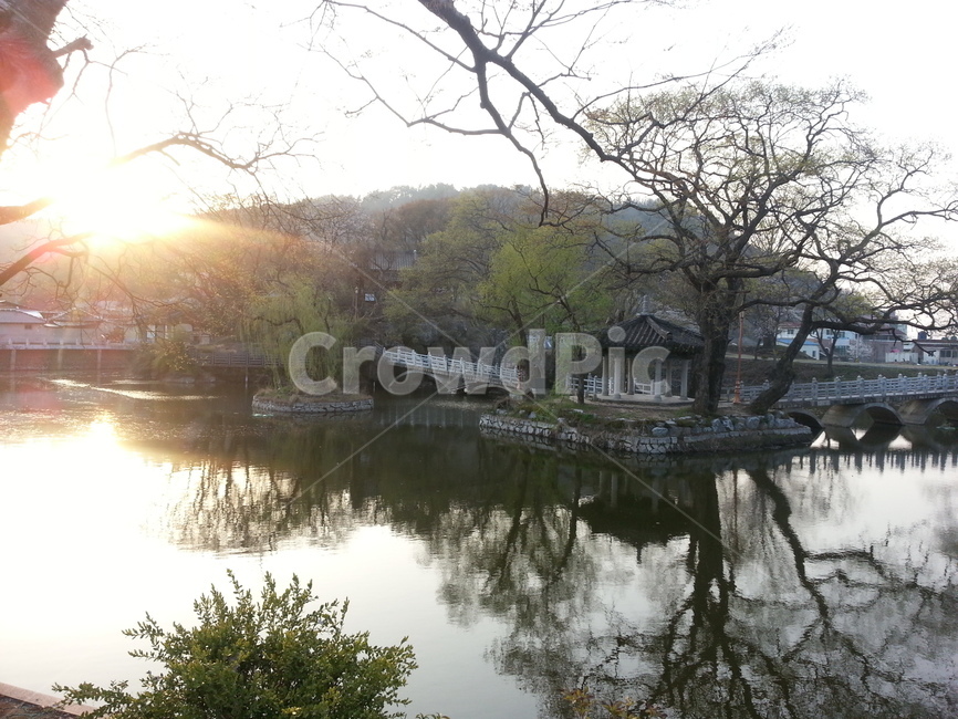 함안,호숫가,정자,햇살,해질녘,자연,풍경,nature,landscape,한국자연풍경,한국자연경관,korea nature landscape,water,물,outdoors,옥외