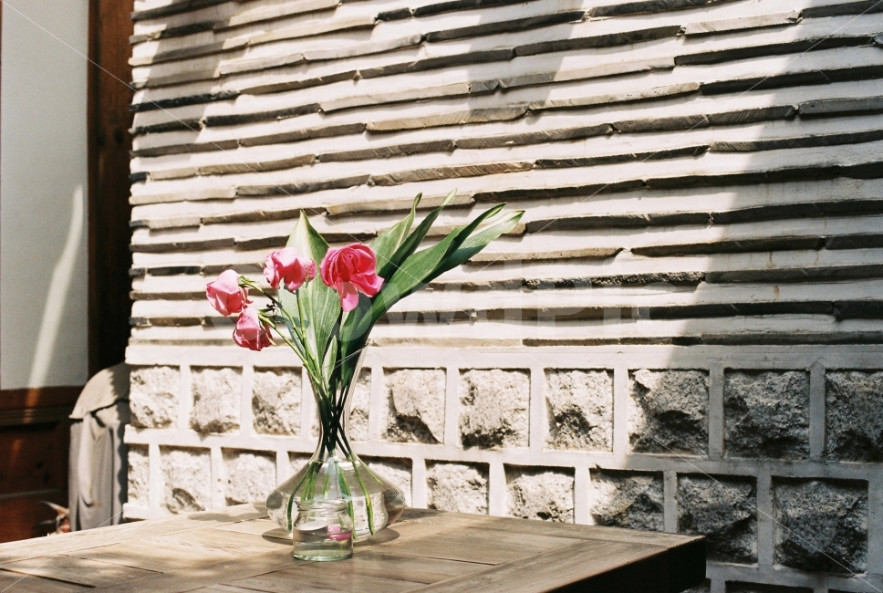 꽃,인테리어,스냅,분위기,감성,film,snap,flower,식물,자연,plants,nature,꽃,flower,감성,sensible,feeling,인테리어,실내디자인,interior design