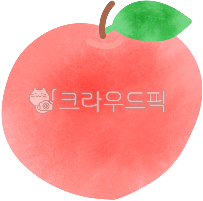 Peach,fruit illustration,peach drawing,peach,peachillust,hand drawing