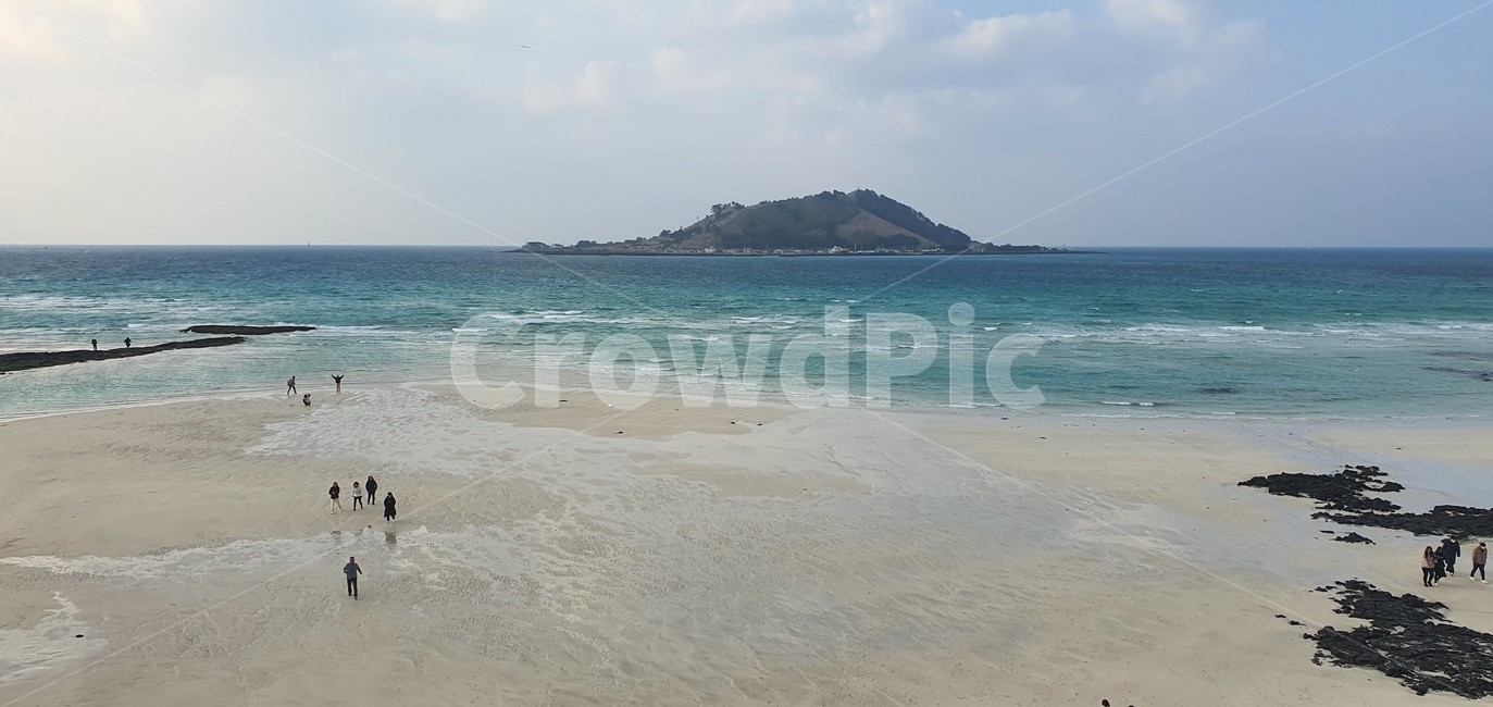 제주도,바다,해변,겨울바다,협재