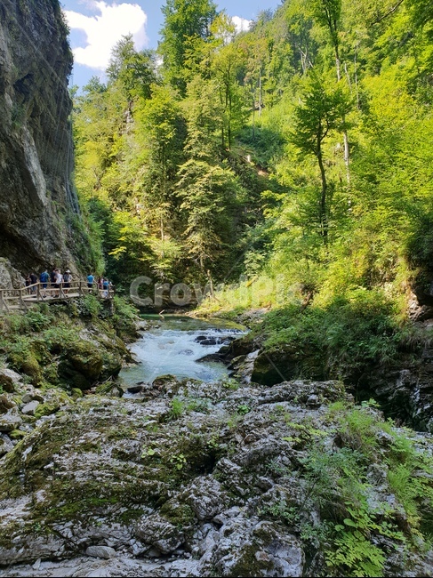 협곡,계곡,여름,슬로베니아,빈트가르,vintgar,gorge,valley,빈트가르협곡,계곡물,자연,풍경,동유럽,물,경관,더위,숲,나무,자연,풍경,nature,landscape,해외,외국,세계,foreign,oversea,world,세계자연풍경,해외자연풍경,외국자연풍경,world nature landscape,outdoors,옥외,water,creek,작은 만,stream,흐름