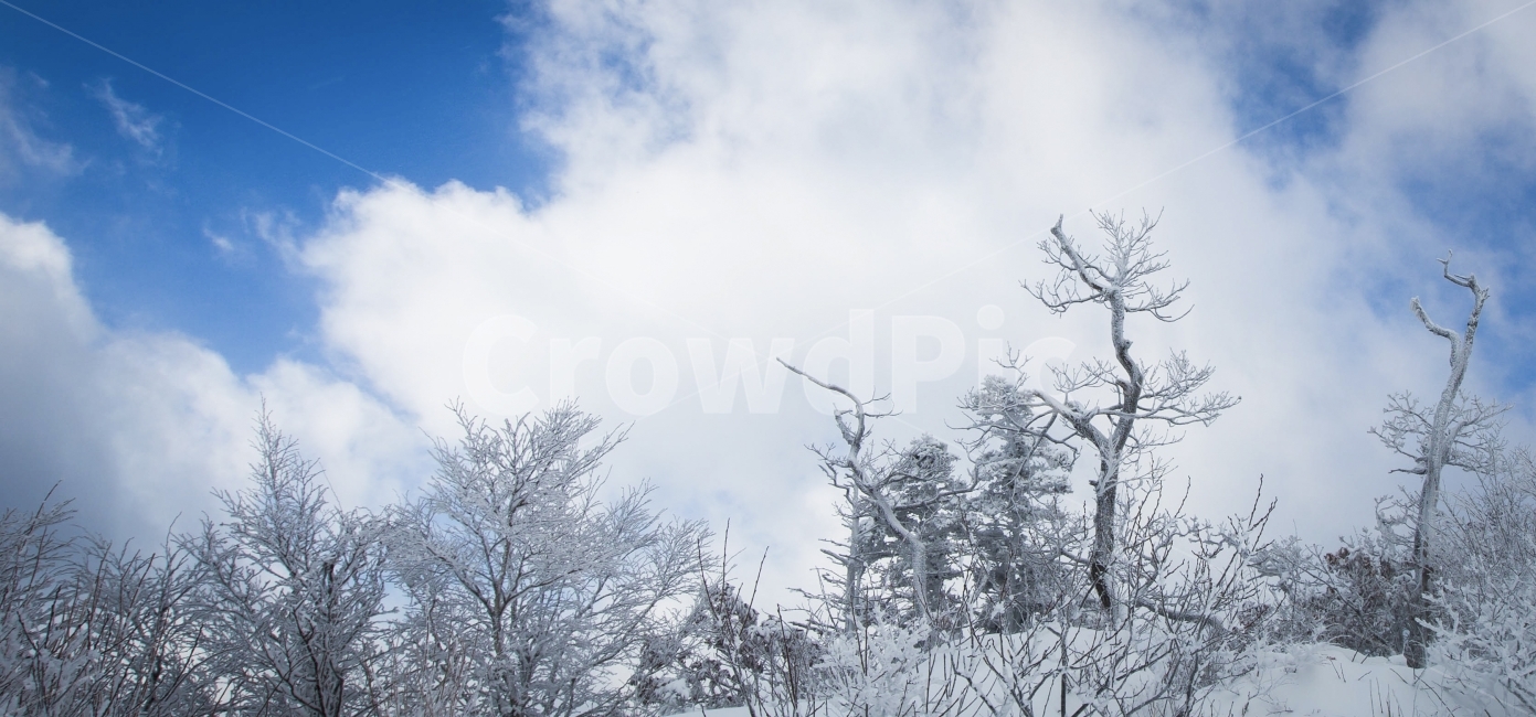 겨울,눈,정상,하늘,상고대,겨울,계절,winter,season,자연,풍경,nature,landscape,outdoors,옥외