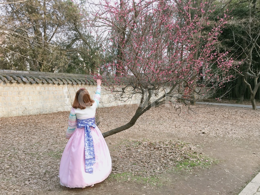 전주,한옥마을,한복,인물,전통의상,한국,한국문화,한국전통,한국역사,나무,풍경,jeonju,koreanculture,koreanhistory,koreantraditional,hanbok,한복,한국전통의상,hanbok,korean traditional clothes,사람,인물,인간,human,person,여성,여자,woman,female,lady