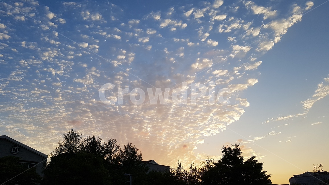 하늘,sky,구름,노을,석양