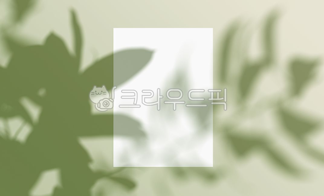 shadow,mockup,background,brochure,book,poster,frame,effect,leaf,leaves,overlay,realistic,transparent,pastel,tree,texture,leaflet,frame,banner,summer,letter,business card,stationery,paper