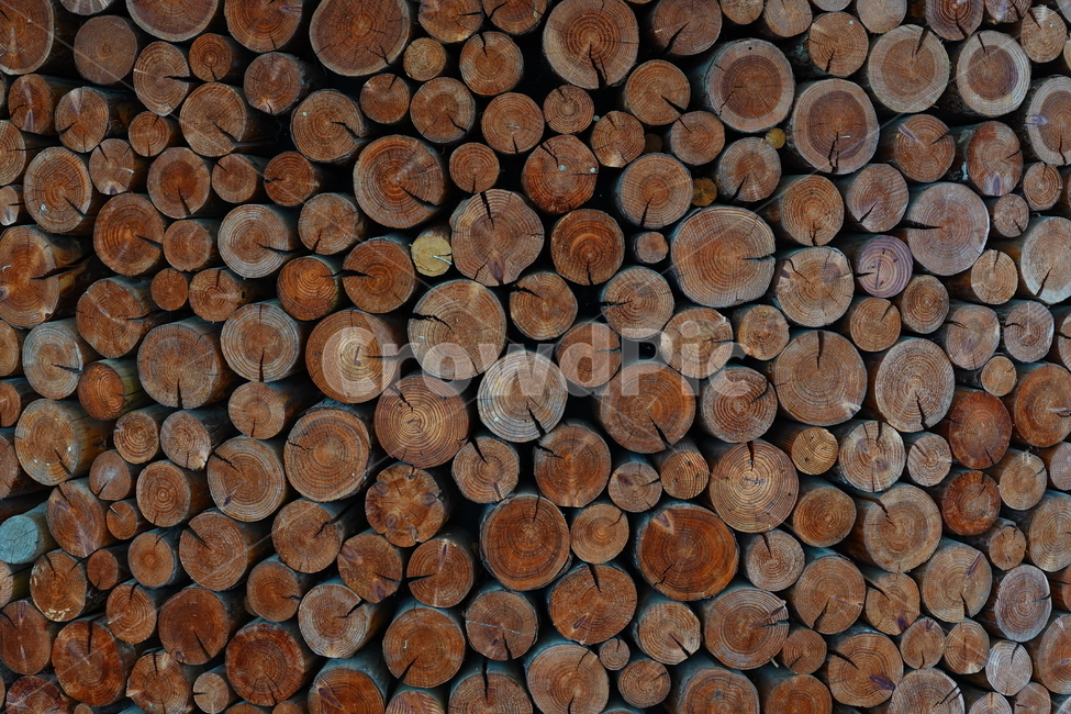 wood,나무,패턴,공원,땔감,황토색