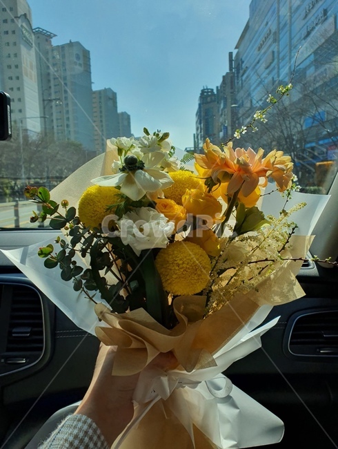 졸업식선물,졸업식꽃다발,기념일선물,기념일꽃다발,노란꽃,노란꽃다발,plant,식물,flower,꽃,선물,기쁨,여자친구,사랑,감사,마음,고백,꽃다발,꽃선물,프로포즈,프로포즈선물,생일선물,여자친구선물,고백선물
