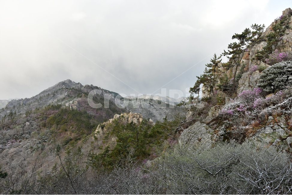 주작산,덕룡산,종주,진달래,풍경,기암,바위,비경,봄풍경,진달래꽃,강진,명산,산행,등산,마운틴,힐링,mountain,landscape,자연,natural,봄,계절,spring,season,자연,풍경,nature,landscape,한국자연풍경,한국자연경관,korea nature landscape,plant,식물,outdoors,옥외