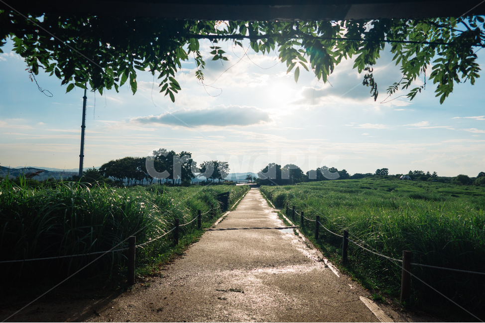 여름,하늘,구름,풍경,풀,초록,길,자연,풍경,nature,landscape,asphalt,아스팔트,road,도로