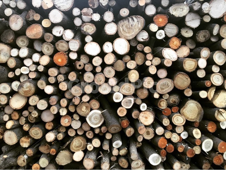 나무,나무토막,장작,겨울,땔감,자연,힐링,나무,trees,wood