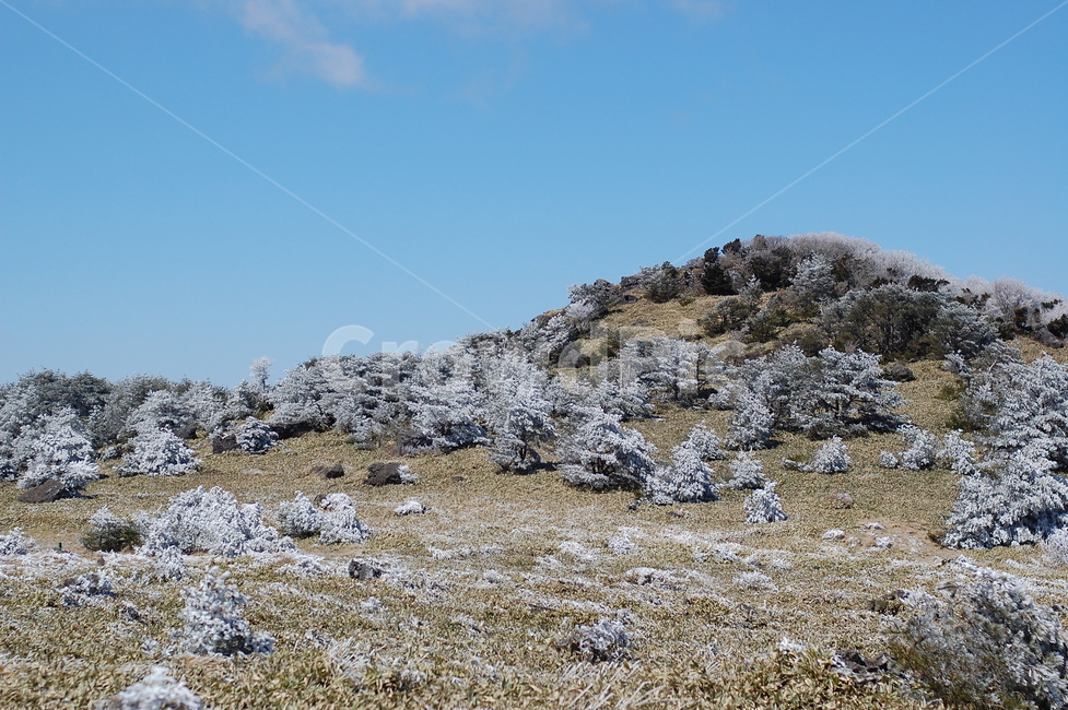 한라산,산,겨울,눈,한라산정상,제주도,겨울,계절,winter,season,자연,풍경,nature,landscape,한국자연풍경,한국자연경관,korea nature landscape,제주도,jeju,jeju island,ground,바닥