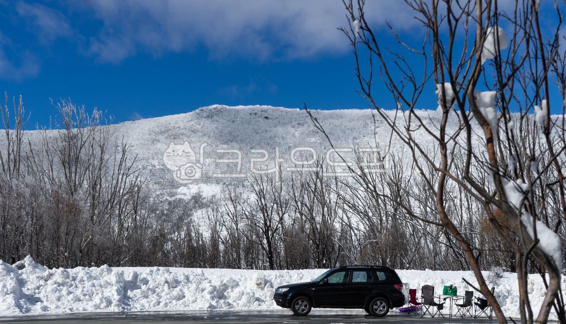 겨울산,겨울드라이브,눈,휴게소,국립공원,호주,뉴사우스웨일즈,kosciuszkonationalpark,설경,눈꽃,나무
