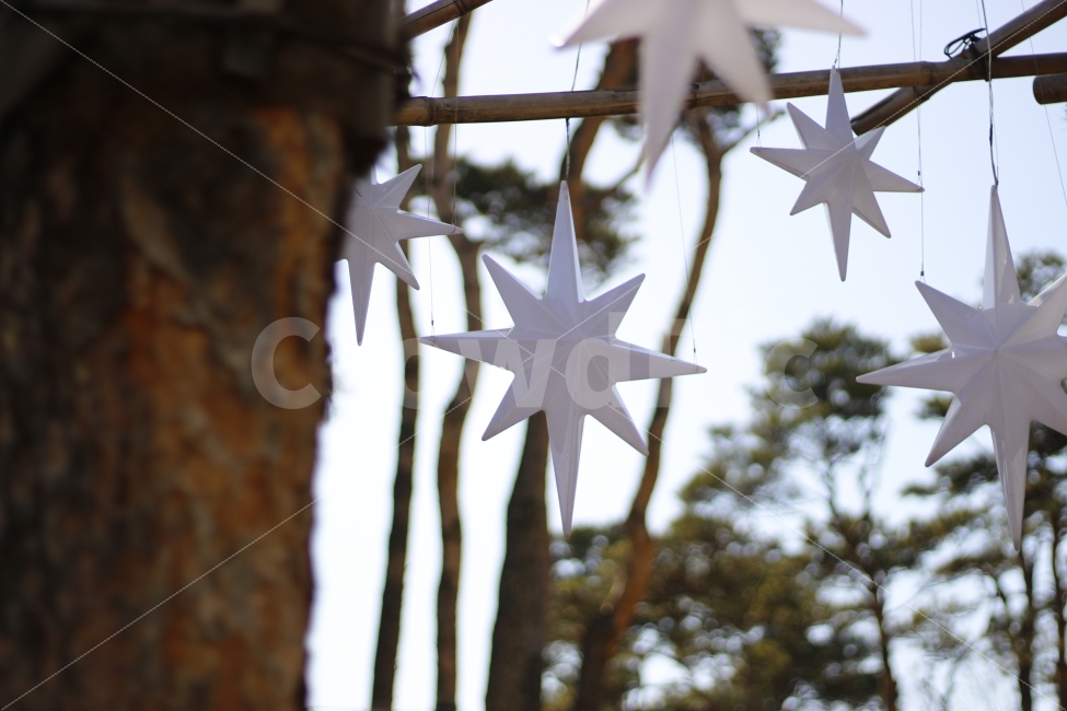 star,sunshine,tree,sky,별,햇살,나무,하늘,풍경,조형물,인테리어,실내디자인,interior design