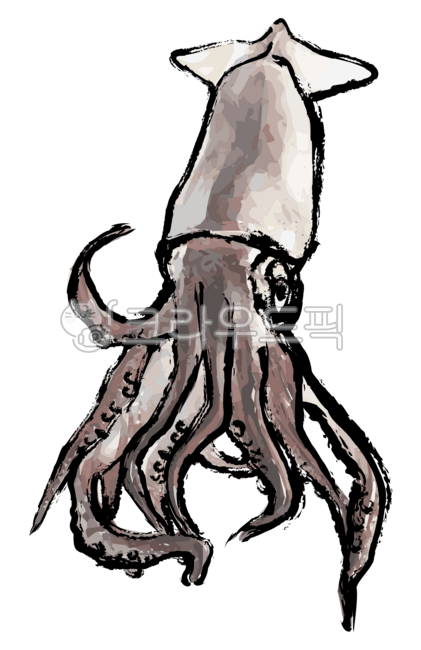 squid,food,seafood,calamari,squid,ink,sashimi,cooking,sucker,animal,fish,brush,inkpainting,orientalpainting,sidedish,driedsquid