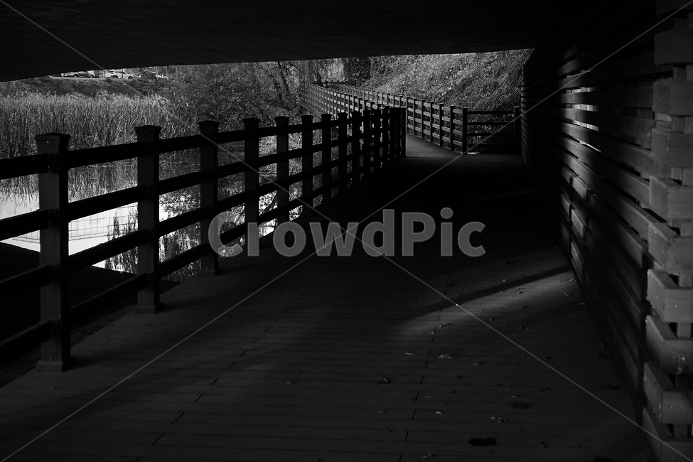 흑백,가을,외로움,나뭇잎,그림자,autumn,fall,leaf,monotone,bw,loneliness,solitary,모노톤,흑백,모노톤,monochrome,black and white