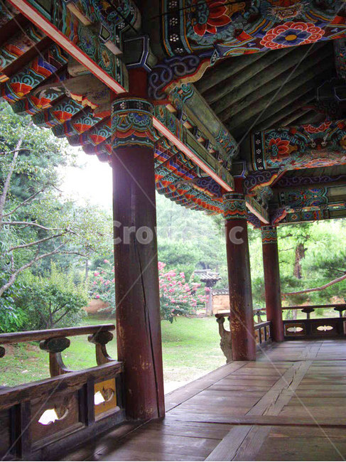 민속촌,민속마을,단청,한국전통,전통,전통마을,한국문화,보존,한국의미,nature,plant,자연,풍경,식물,korean,주거지,나무,traditional,culture,outdoors,전통정원,옥외,전통색상