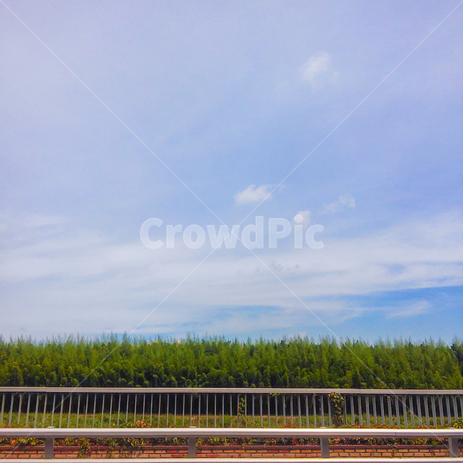 하늘,sky,여름,나무,초록,green,blue,summer,자연,풍경,nature,landscape