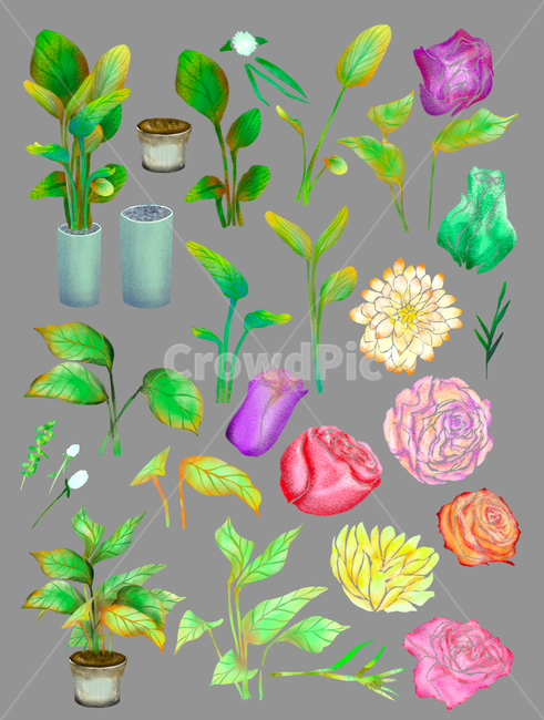 식물,화분,식물일러스트,일러스트,꽃,꽃일러스트,화분일러스트,plant,plantillustration,illustration,flower,flowerillustration,pot,potillustration,그래픽,일러스트레이션,graphic,illustration
