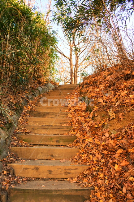 path,통로,staircase,계단,산책,자연,풍경,nature,landscape