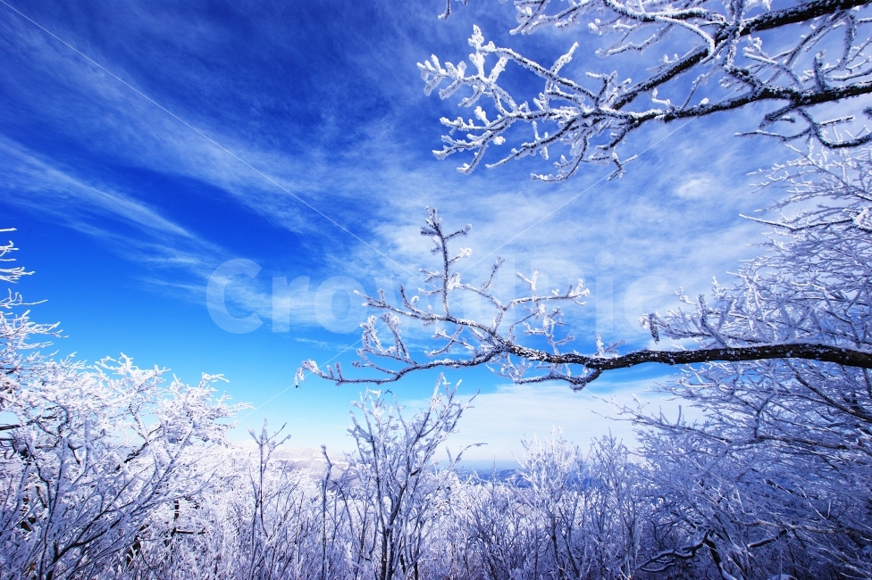 태백산,설경,사진,등산,풍경,겨울,자연,풍경,nature,landscape,겨울,계절,winter,season,outdoors,옥외