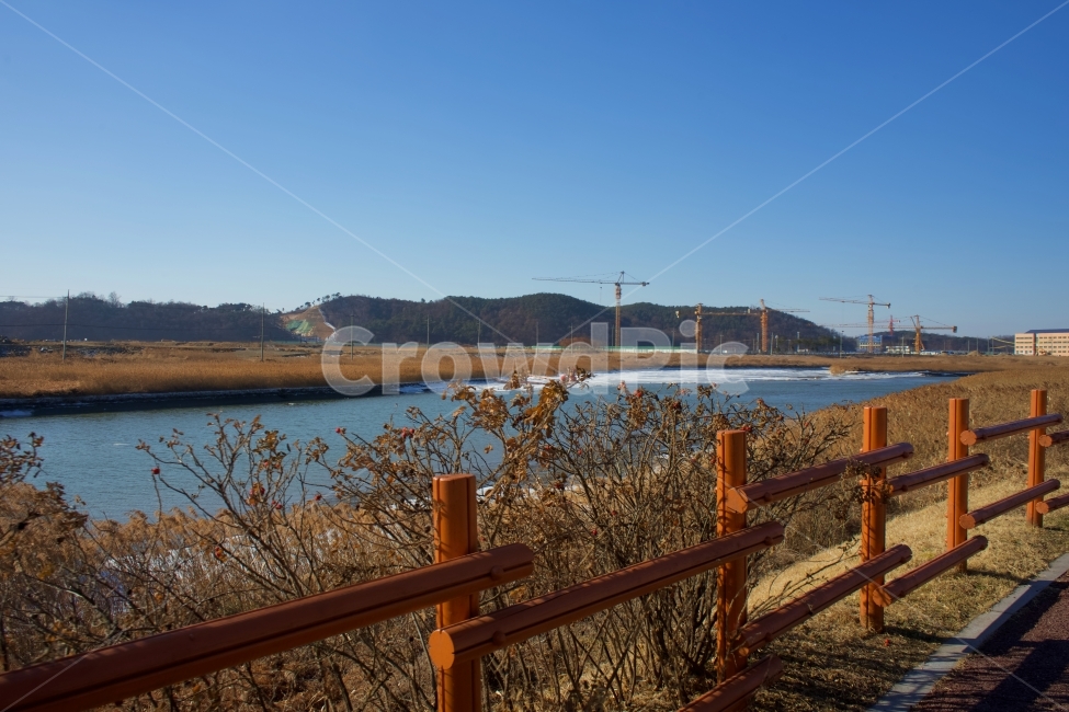 다리,산책로,풍경,겨울,갈대,겨울,계절,winter,season,자연,풍경,nature,landscape,한국자연풍경,한국자연경관,korea nature landscape,handrail,난간,banister,railing