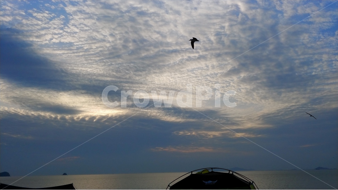 자연,풍경,하늘,구름,새,노을,산,mountain,cloud,bird,sky,nature,배경,자연,풍경,nature,landscape,동물,animal,조류,새,birds