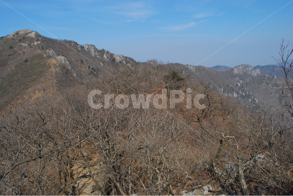 가지산,쌀바위,영남알프스,석남사숲,등산로,능선,치유,여행,돌,산행,힐링,자연,동행,등산,계절,한국,한국명산,한국등산,풍경,나무,하늘,바람,땅,자연,풍경,nature,landscape,한국자연풍경,한국자연경관,korea nature landscape,outdoors,옥외,slope,경사