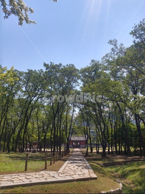 선릉,세계문화유산,선정릉,한국,풍경