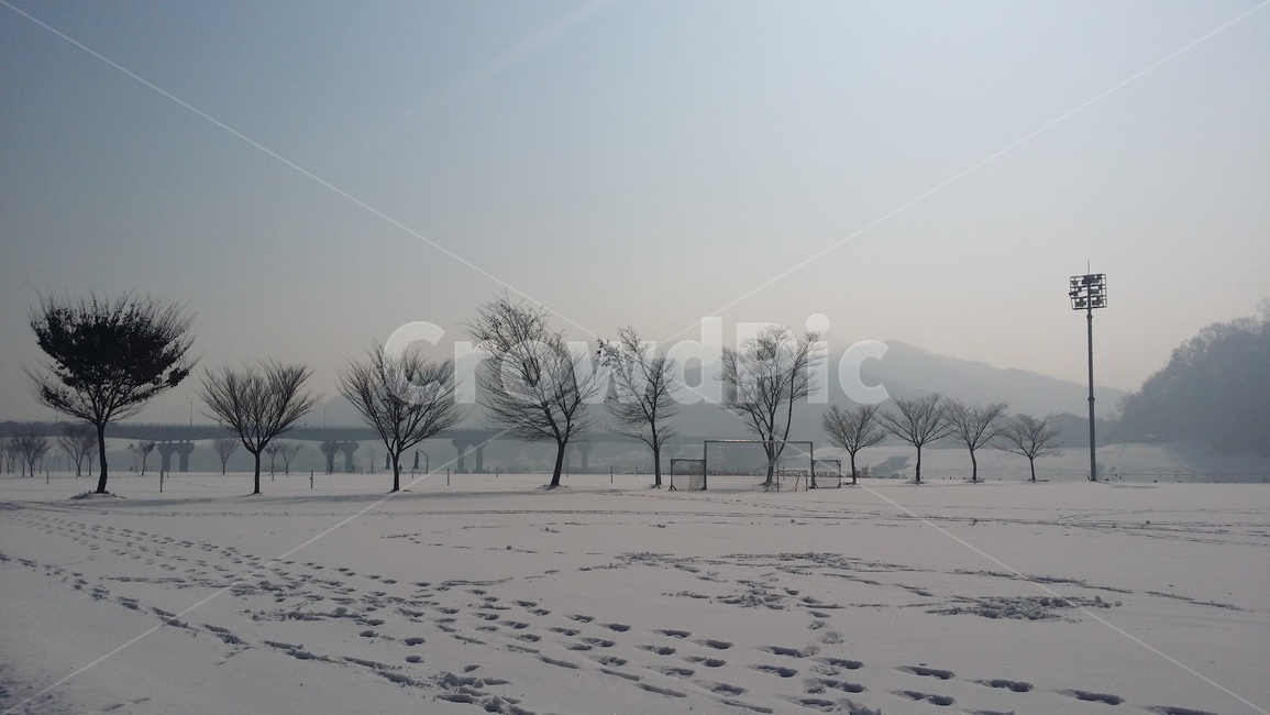 나무,설경,겨울풍경,겨울,snow,winter,tree,발자국,흰색,화이트,풍경,감성,겨울감성,겨울나무,눈,겨울,계절,winter,season,자연,풍경,nature,landscape