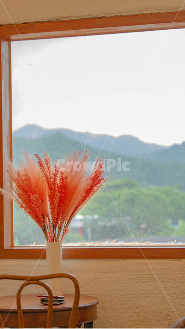 꽃,뮬리,창문,빨강,분위기