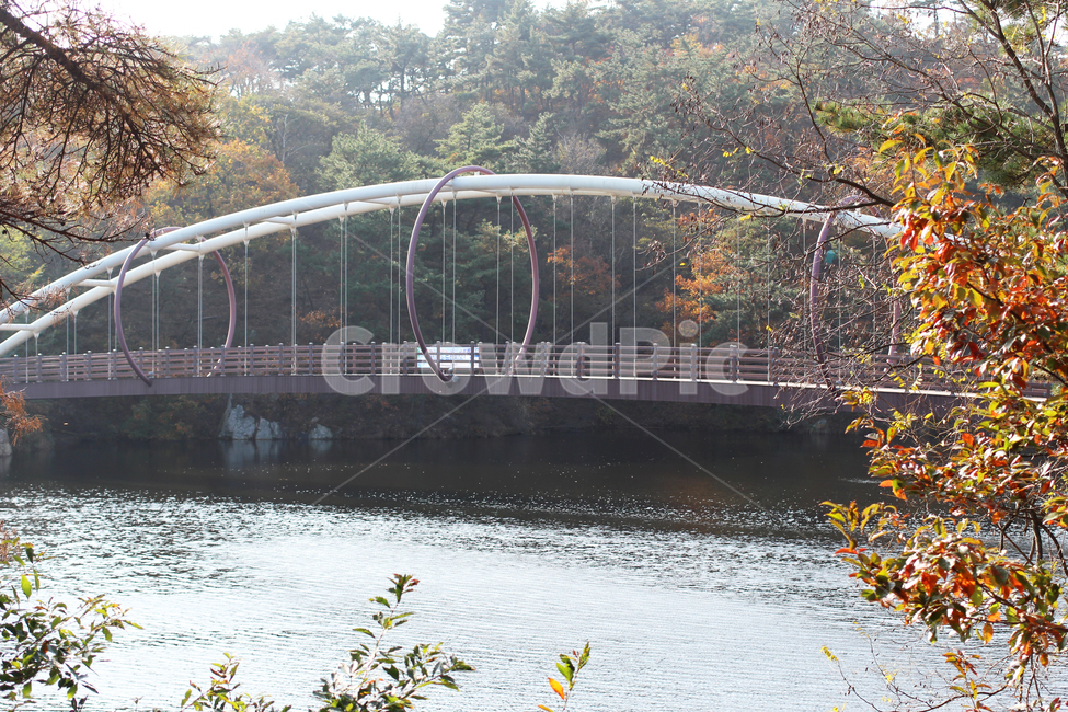 아치교,다리,가을,단풍,호수,archbridge,bridge,fallfoliage,fall,lake