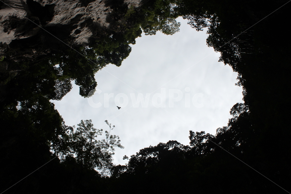 하늘,bird,새,동물,animal,cave,동굴,구멍,hole,자연,풍경,nature,landscape