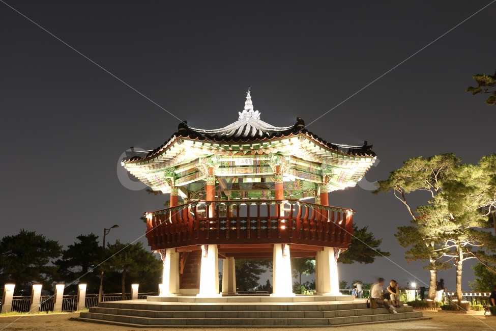 응봉산,캐논,서울야경,야경,자연,야경,밤,풍경,nightscape,night,landscape,한국전통,한국문화,korean traditional,korean culture,architecture,건축물,building,건물