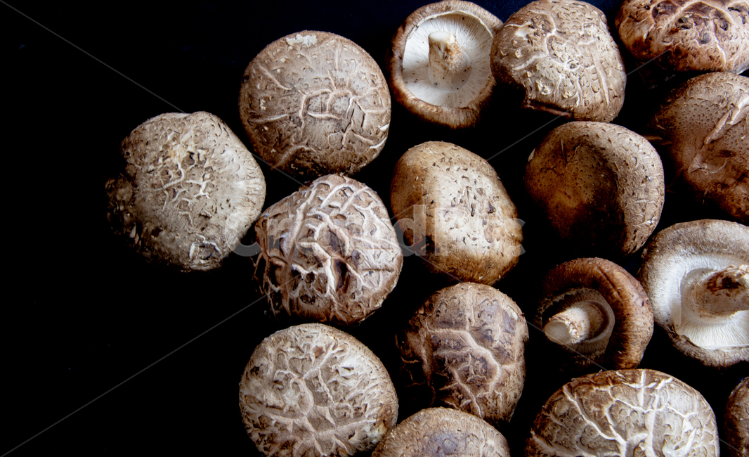 표고버섯,채소,음식재료,항암작용,영양,야채,음식,버섯,건강,버섯,mushroom,음식,식재료,요리,food,cook,meal,dishes,food reserves