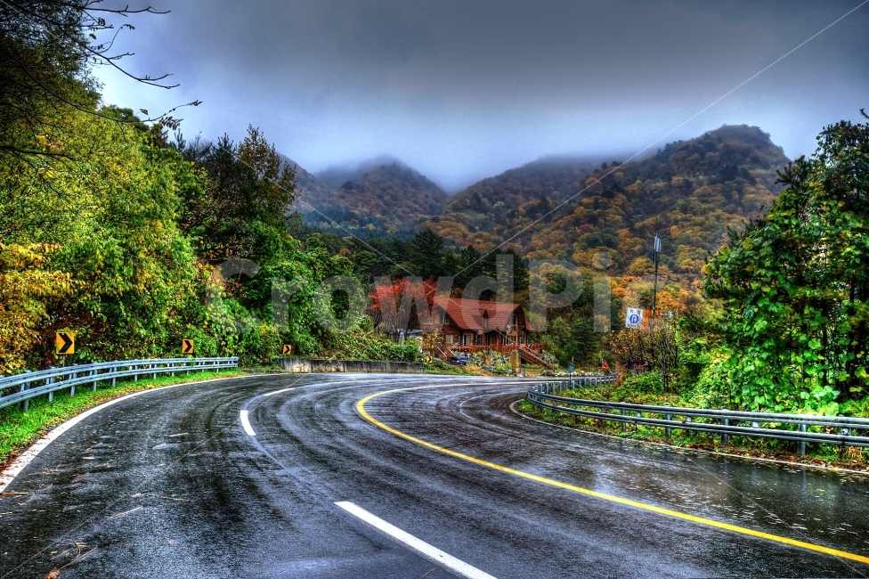 여행,도로,가을,단풍,풍경,강원도,landscape,Nature,Fall,Autumn,AutumnColors,Natural,Road,Trip,자연풍경,비오는날,비,가을,계절,fall,autumn,season,자연,풍경,nature,landscape,한국자연풍경,한국자연경관,korea nature landscape,교통,교통수단,traffic,transportation,road,asphalt,아스팔트,highway,고속도로,freeway,고속 도로