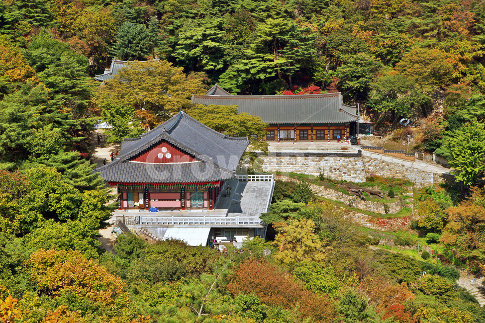 연주암,불교사찰,관악산,과천,사찰,가을,계절
