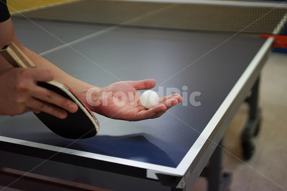 탁구,구기종목,스포츠,탁구대,탁구라켓,tabletennis,pingpong,sport,스포츠,레저,운동,sports,leisure,exercise,사물,물건,오브젝트,thing,object,matter