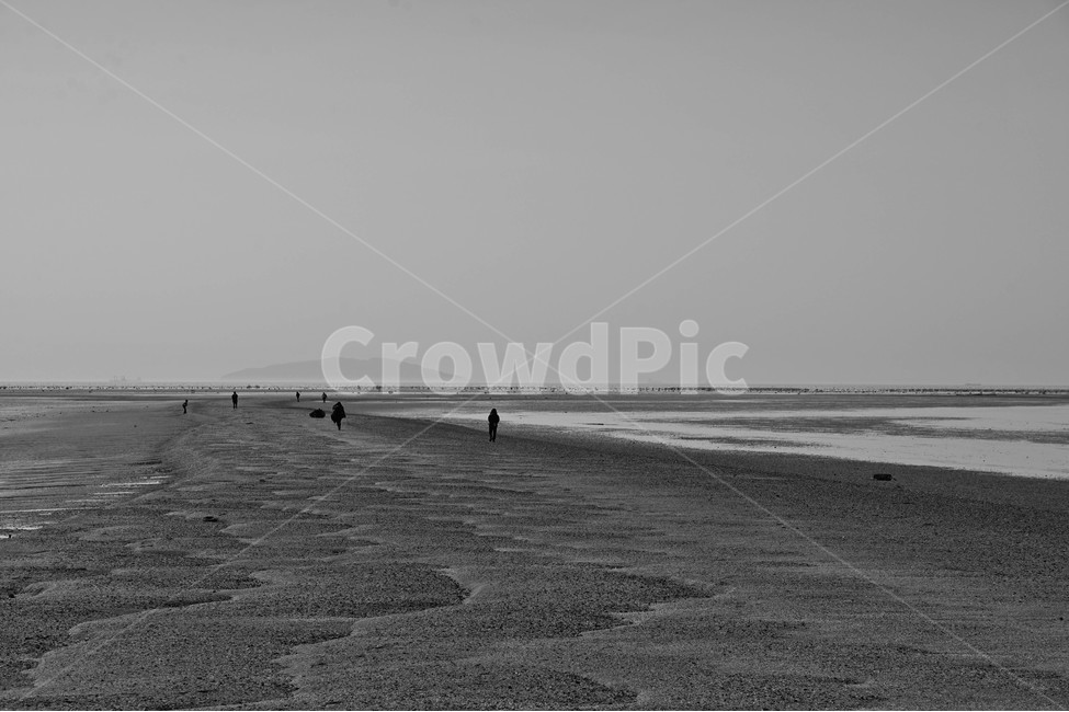 바다,사람,백사장,모래,자연,풍경,자연,풍경,nature,landscape,한국자연풍경,한국자연경관,korea nature landscape,사람들,대중,군중,other people,crowd,흑백,모노톤,monochrome,black and white,ground,바닥,human,인간,person