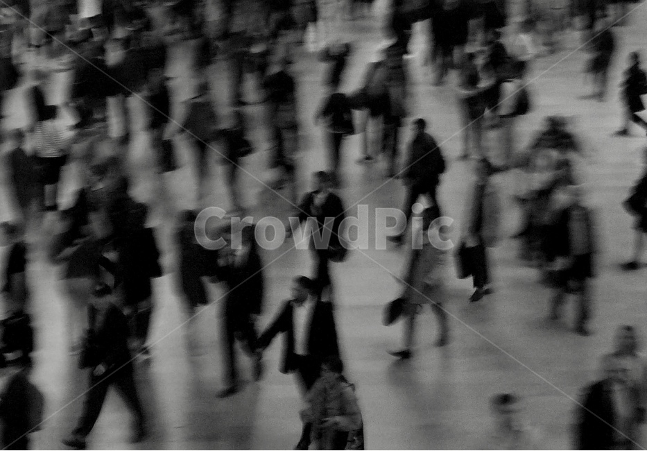 human,인간,pedestrian,보행자,person,사람,군무,crowd